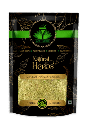 SAI HERBS Attukottappala Powder - Good for Healthy Lifestyle, Supports Overall Wellness - Pure & Natural