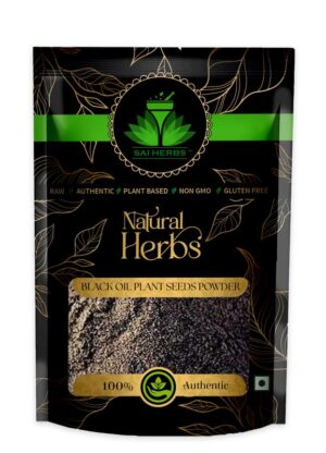 SAI HERBS Black Oil Plant Seeds Unani Powder - Climbing Staff Tree Unani Powder - Intellect Tree Unani Powder - Celastrus Paniculatus Unani Powder - Pure & Natural