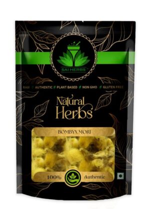 SAI HERBS Bombyx Mori - Corn Silk - Pure & Natural