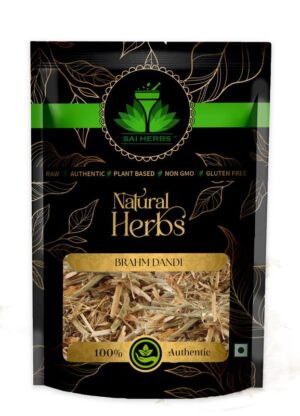 SAI HERBS Brahm Dandi - Satyanashi - Oont Katara - Camel's Thistle - Tricholepis Angustifolia - Pure & Natural