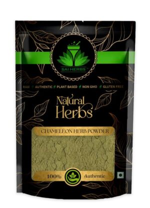 SAI HERBS Chameleon Herb Powder - Pure & Natural