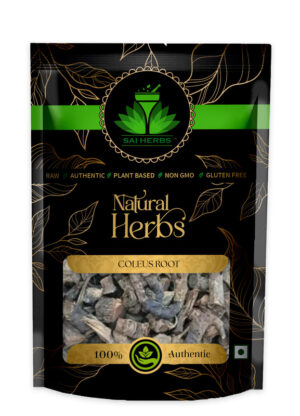 SAI HERBS Coleus Root - Good for Healthy Lifestyle, Supports Overall Wellness - Pure & Natural
