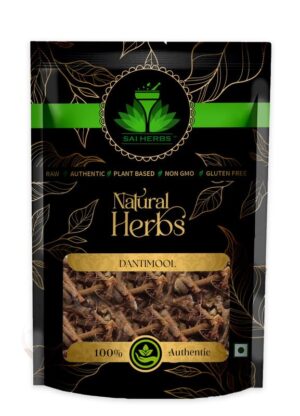 SAI HERBS Dantimool - Danti Mool - Baliospermum Montanum - Pure & Natural