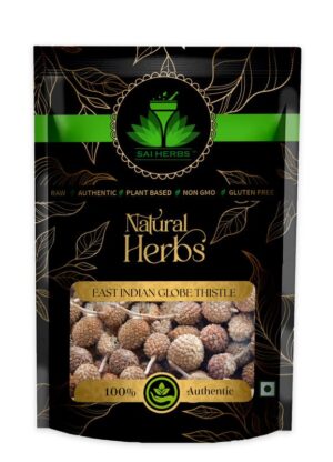 SAI HERBS East Indian - Globe Thistle - Indian Sphaeranthus - Chhagul Nudi - Pure & Natural