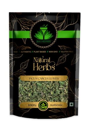 SAI HERBS Ficus Carcia Leaves - Pure & Natural