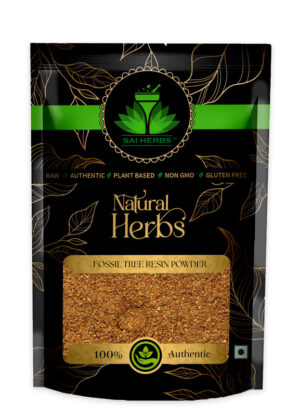 SAI HERBS Fossil Tree Resin Powder - Good for Healthy Lifestyle, Supports Overall Wellness - Pure & Natural