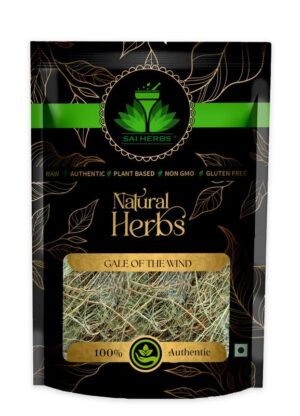 SAI HERBS Gale of the Wind - Stonebreaker Seeds - Phyllanthus Niruri - Pure & Natural