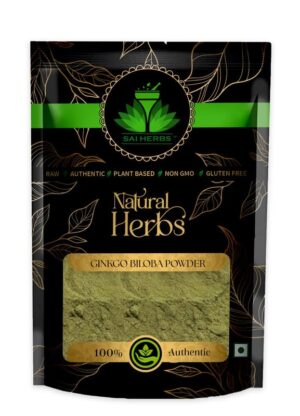 SAI HERBS Ginkgo Biloba Siddha Powder - For Brain Health - Supports Memory - Pure & Natural