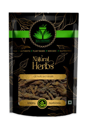 SAI HERBS Gum Plant Herb - Good for Healthy Lifestyle, Supports Overall Wellness - Pure & Natural