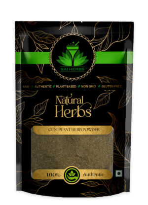 SAI HERBS Gum Plant Herb Churan - Good for Healthy Lifestyle, Supports Overall Wellness - Pure & Natural