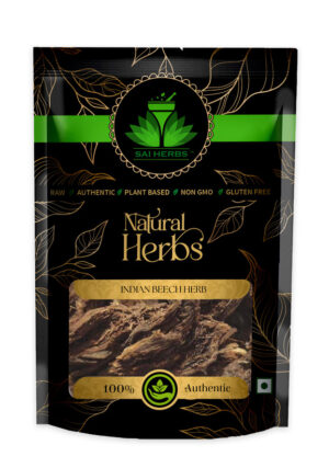 SAI HERBS Indian Beech Herb - Good for Healthy Lifestyle, Supports Overall Wellness - Pure & Natural