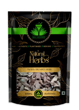 SAI HERBS Indian Trumpet Herb - Good for Healthy Lifestyle, Supports Overall Wellness - Pure & Natural