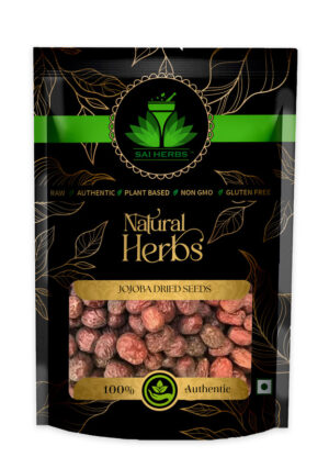 SAI HERBS Jojoba?Dried Seeds - Good for Healthy Lifestyle, Supports Overall Wellness - Pure & Natural