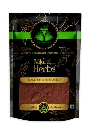 SAI HERBS Kokilaksha Beej Powder - Good for Healthy Lifestyle, Supports Overall Wellness - Pure & Natural