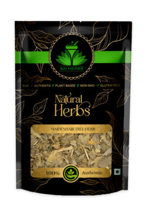 SAI HERBS Maidenhair Tree?Herb - Good for Healthy Lifestyle, Supports Overall Wellness - Pure & Natural