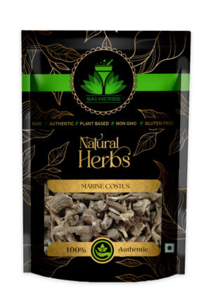SAI HERBS Marine Costus - Good for Healthy Lifestyle, Supports Overall Wellness - Pure & Natural
