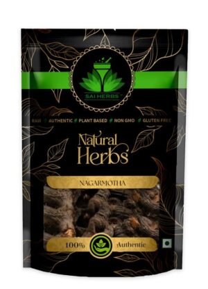 SAI HERBS Nagarmotha - Cyperus Rotundus Rhizome - Nut Sedge Root - Pure & Natural