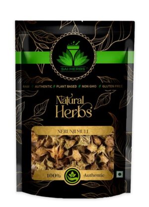 SAI HERBS Nerunji Mull - Nerinjil - Cinnapalleru - Neggilu Mullu - Pure & Natural