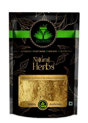 SAI HERBS Phellinus Linteus Mushroom Powder - Pure & Natural