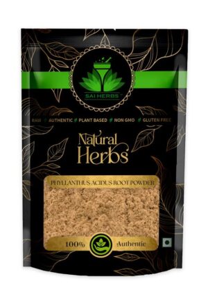 SAI HERBS Phyllanthus Acidus Root Siddha Powder - Pure & Natural