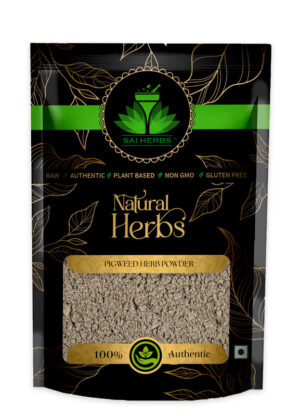 SAI HERBS Pigweed Churan - Good for Healthy Lifestyle, Supports Overall Wellness - Pure & Natural