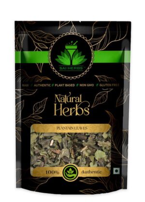 SAI HERBS Plantain Leaves - Good for Healthy Lifestyle, Supports Overall Wellness - Pure & Natural (100 Grams)