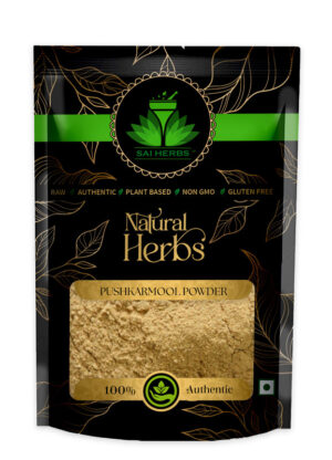 SAI HERBS Pushkaramoolam Churan - Good for Healthy Lifestyle, Supports Overall Wellness - Pure & Natural