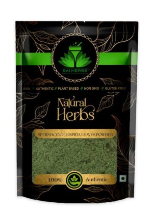 SAI HERBS Spermacoce Hispida Leaves Powder - Pure & Natural