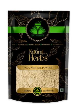 SAI HERBS Yanai Nerunjil Unani Powder - Dried Large Caltrops Unani Powder - Pure & Natural