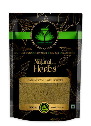 SAI HERBS Badrajboya Leaves Siddha Powder - Malisa Parviflora Leaves Siddha Powder - Nepeta Hindostana Leaves Siddha Powder - Good for Healthy Lifestyle, Supports Overall Wellness - Pure & Natural