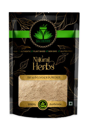 SAI HERBS Brahm Dandi Siddha Powder - Good for Healthy Lifestyle, Supports Overall Wellness - Pure & Natural