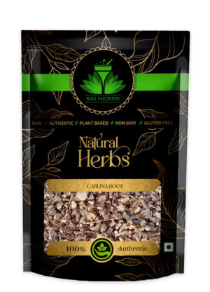 SAI HERBS Carlina?Root - Good for Healthy Lifestyle, Supports Overall Wellness - Pure & Natural (100 Grams)