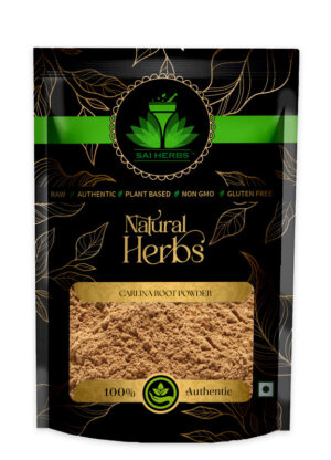 SAI HERBS Carlina?Root Powder - Good for Healthy Lifestyle, Supports Overall Wellness - Pure & Natural (100 Grams)