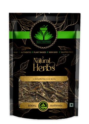 SAI HERBS Chaliponga Leaves - Good for Healthy Lifestyle, Supports Overall Wellness - Pure & Natural