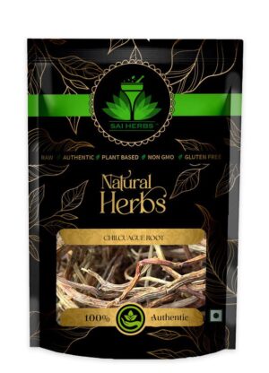 SAI HERBS Chilcuague Root - Good for Healthy Lifestyle, Supports Overall Wellness - Pure & Natural