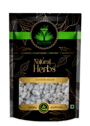 SAI HERBS Cotton Seeds - Pamba Dana - Binola Giri - Good for Healthy Lifestyle, Supports Overall Wellness - Pure & Natural (100 Grams)