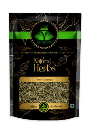 SAI HERBS Dadmari Herb - Good for Healthy Lifestyle, Supports Overall Wellness - Pure & Natural