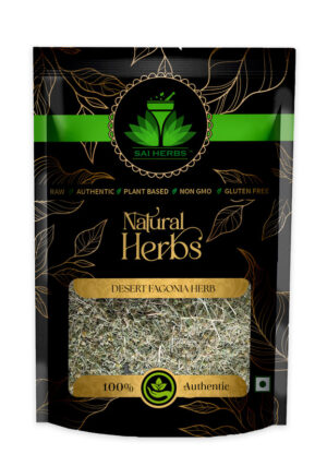 SAI HERBS Desert Fagonia Herb - Good for Healthy Lifestyle, Supports Overall Wellness - Pure & Natural (100 Grams)