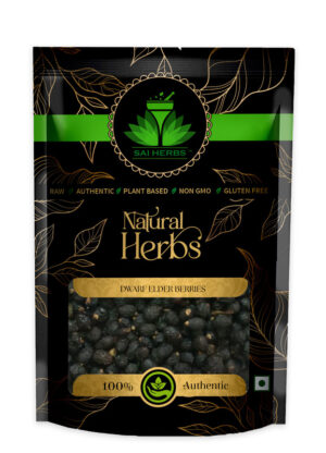 SAI HERBS Dwarf Elder Berries - Good for Healthy Lifestyle, Supports Overall Wellness - Pure & Natural