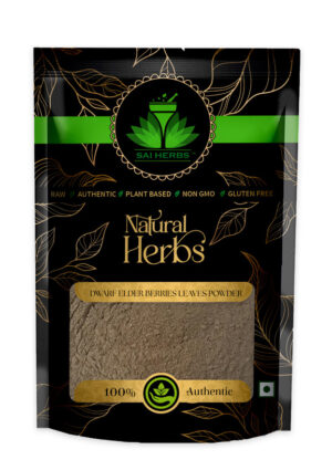 SAI HERBS Dwarf Elder Berries Leaves Unani Powder - Good for Healthy Lifestyle, Supports Overall Wellness - Pure & Natural
