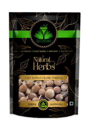 SAI HERBS East Indian Globe Thistle Raw Herb - Good for Healthy Lifestyle, Supports Overall Wellness - Pure & Natural (100 Grams)