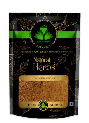SAI HERBS Ivy Gourd Churan - Good for Healthy Lifestyle, Supports Overall Wellness - Pure & Natural