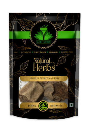 SAI HERBS Kigelia Africana Herb - Good for Healthy Lifestyle, Supports Overall Wellness - Pure & Natural (100 Grams)