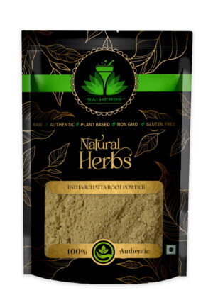 SAI HERBS Patharchatta Root Powder - Good for Healthy Lifestyle, Supports Overall Wellness - Pure & Natural (100 Grams)