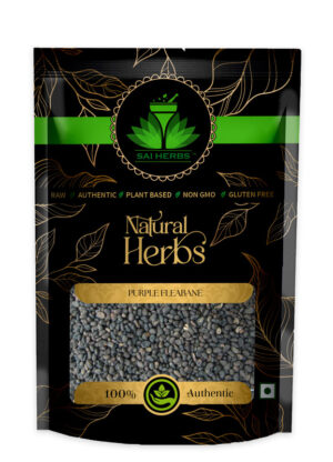 SAI HERBS Purple Fleabane - Psoralea Corylifolia - Good for Healthy Lifestyle, Supports Overall Wellness - Pure & Natural (100 Grams)
