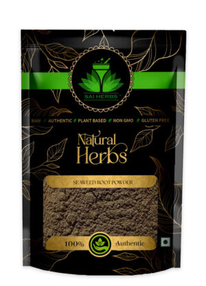 SAI HERBS Seaweed Root Churan - Good for Healthy Lifestyle, Supports Overall Wellness - Pure & Natural