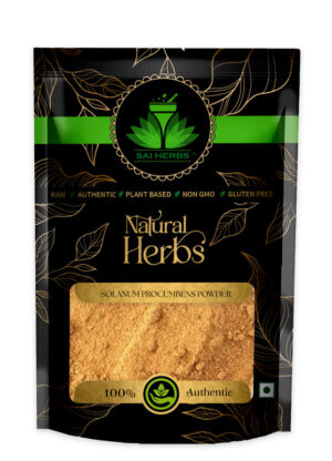 SAI HERBS Solanum Procumbens Churan - Good for Healthy Lifestyle, Supports Overall Wellness - Pure & Natural