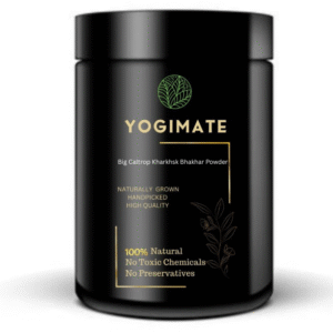 YOGIMATE Big Caltrop Kharkhsk Bhakhar Siddha Powder - Pure & Natural