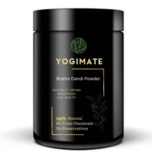 YOGIMATE Brahm Dandi Powder - Good for Healthy Lifestyle, Supports Overall Wellness - Pure & Natural (100 Grams)